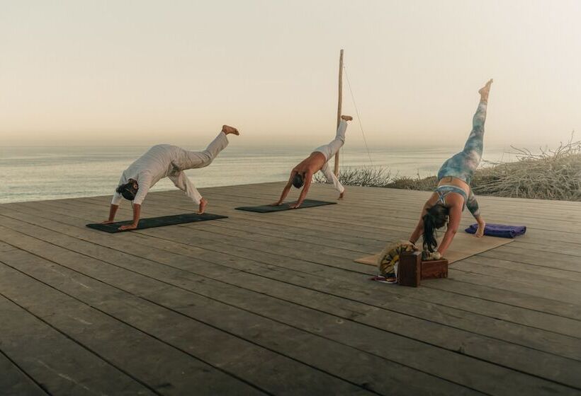 فندق The White Lodge