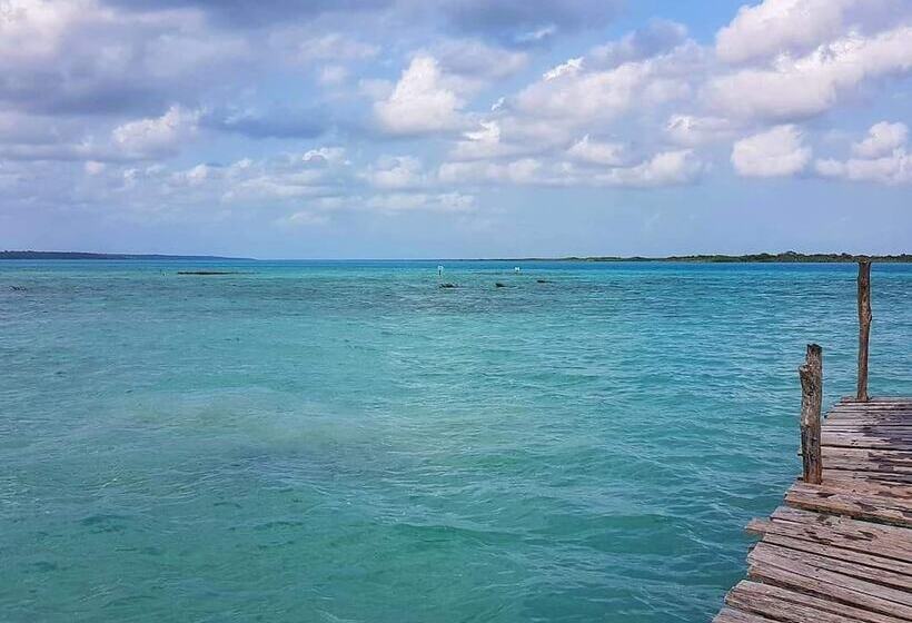 El Búho Bacalar Eco Cabañas Hostal