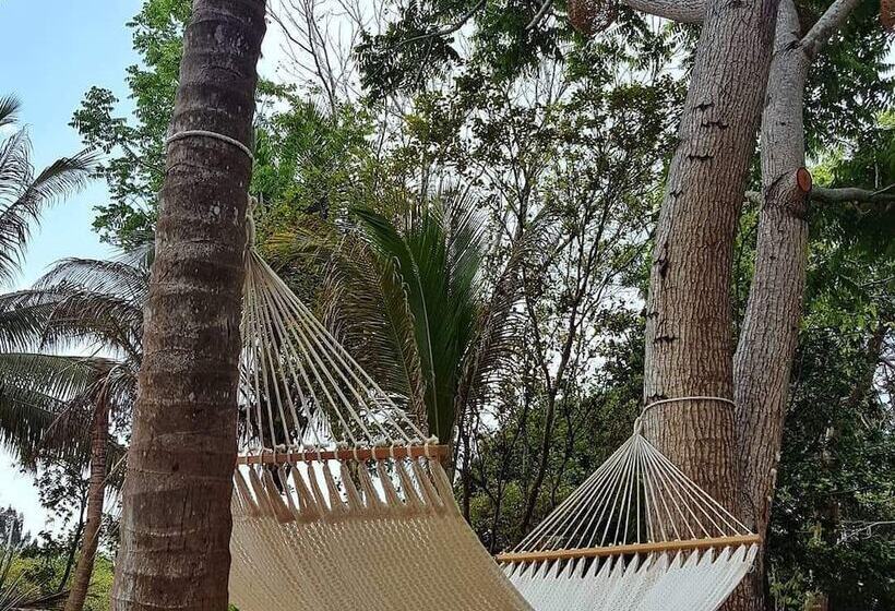 El Búho Bacalar Eco Cabañas Hostal