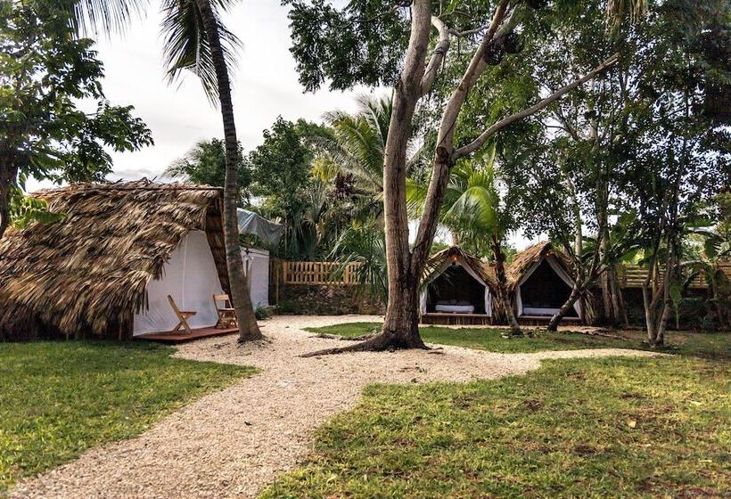 El Búho Bacalar Eco Cabañas Hostal