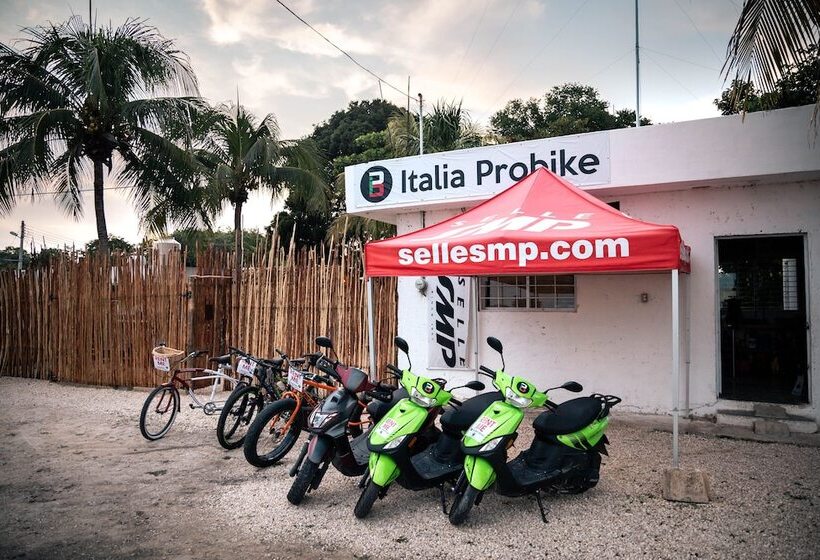 El Búho Bacalar Eco Cabañas Hostal