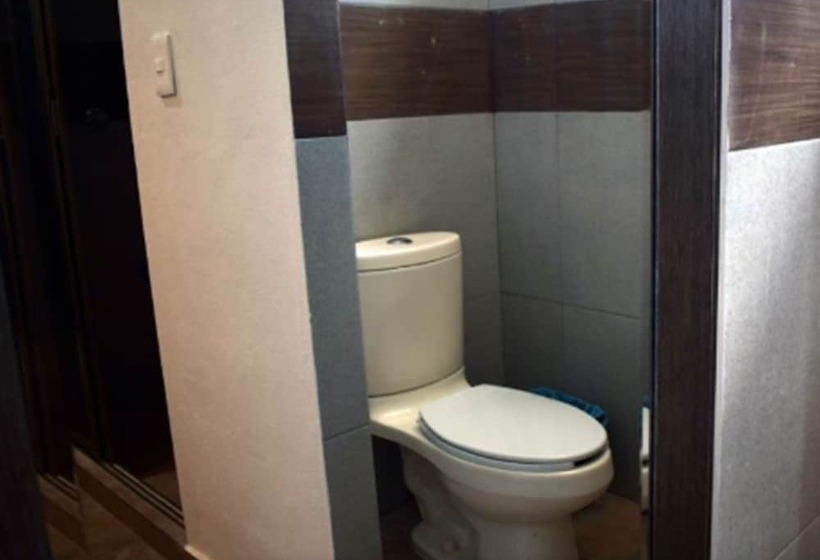 호텔 Apartamentos Stone