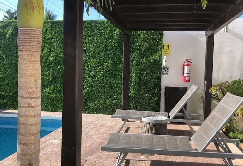 호텔 Apartamentos Stone