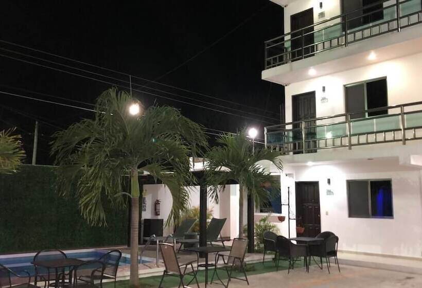 호텔 Apartamentos Stone