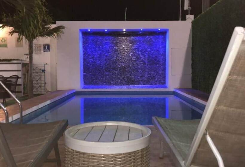 호텔 Apartamentos Stone