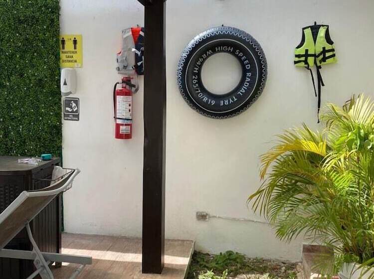 호텔 Apartamentos Stone