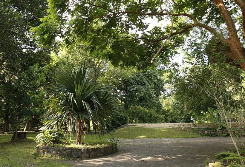 ホテル Carrizal Spa