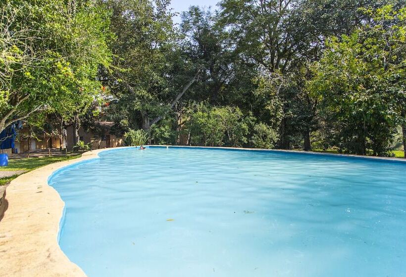 ホテル Carrizal Spa