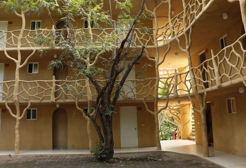 ホテル Carrizal Spa