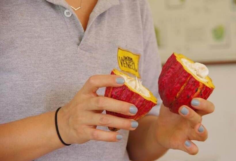 فندق Hacienda Venecia Main House & Coffee Lodge