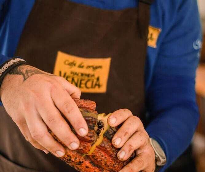 فندق Hacienda Venecia Main House & Coffee Lodge