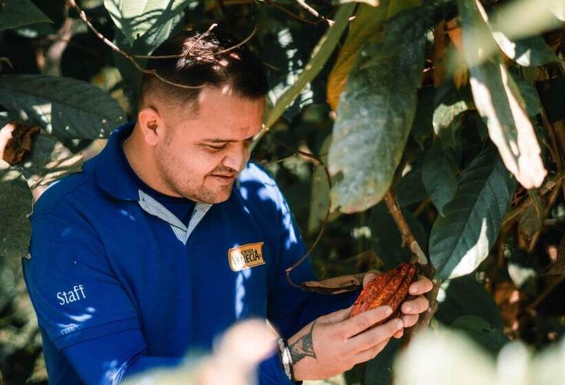 فندق Hacienda Venecia Main House & Coffee Lodge