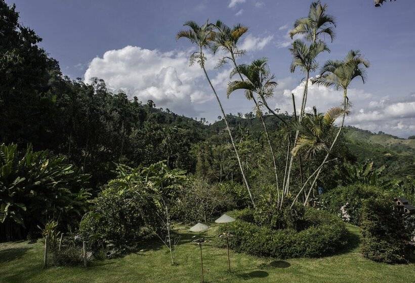 فندق Hacienda Venecia Main House & Coffee Lodge