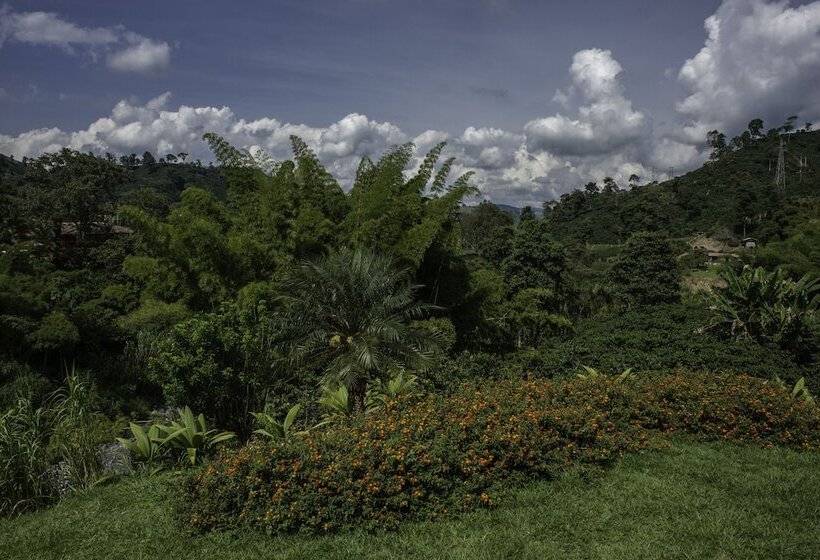 فندق Hacienda Venecia Main House & Coffee Lodge