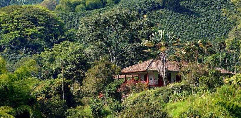 فندق Hacienda Venecia Main House & Coffee Lodge