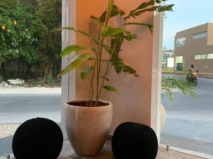 Отель Muyu Tulum