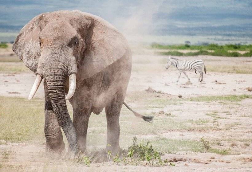 Hotel We4kenya Guesthouses And Farm