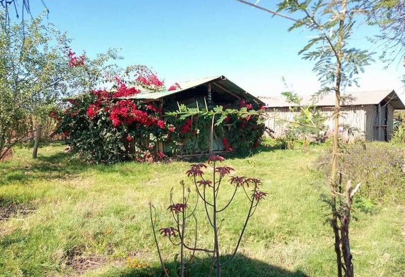 Hotel We4kenya Guesthouses And Farm