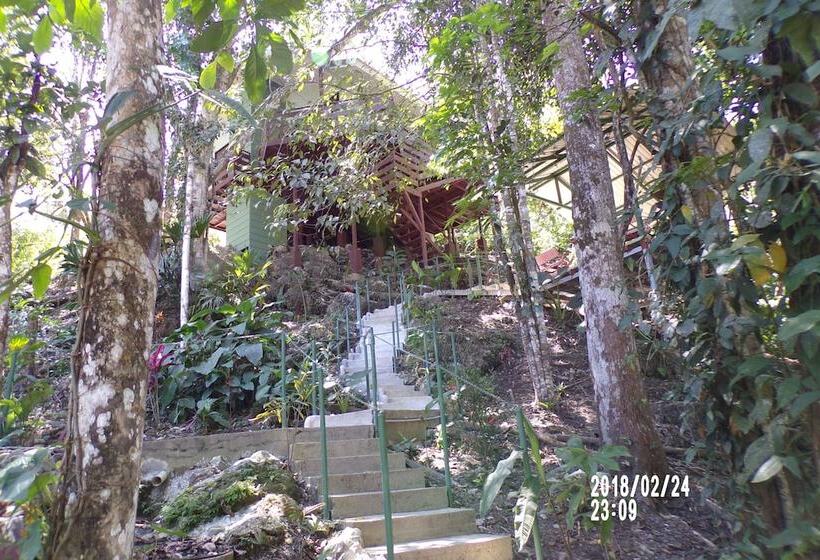 Mycasa's Bed And Breakfast