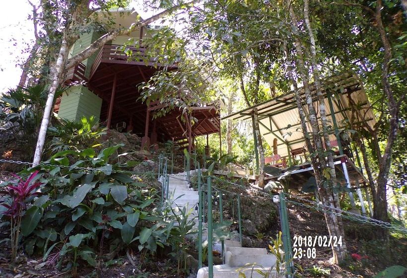 Mycasa's Bed And Breakfast