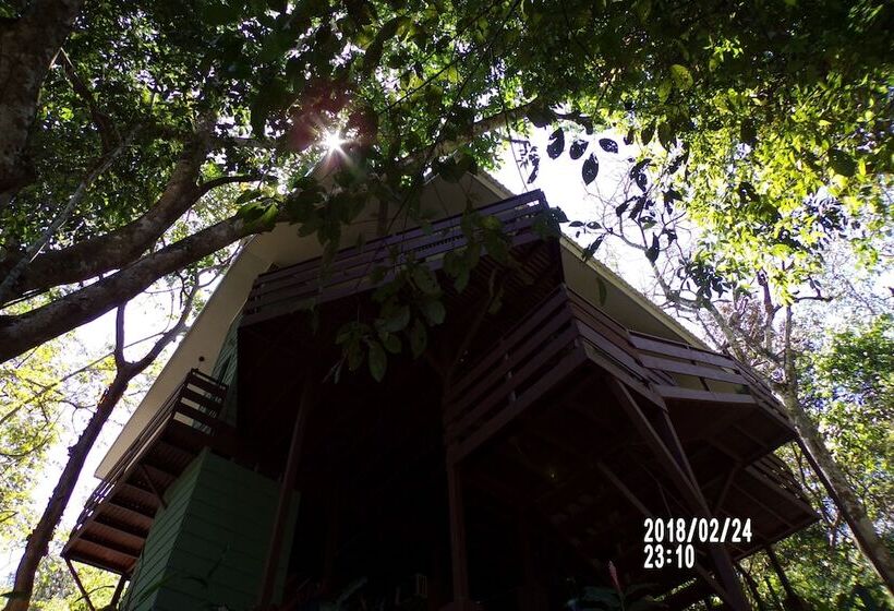 Mycasa's Bed And Breakfast