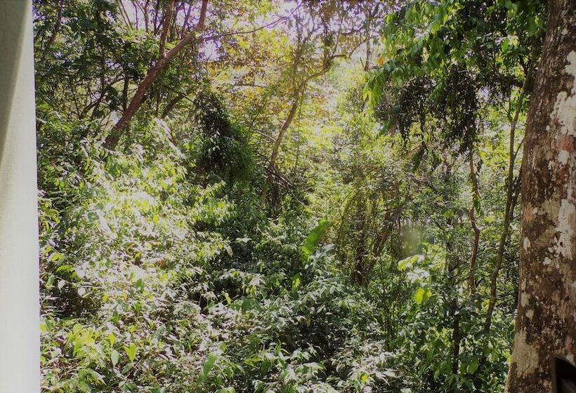 Mycasa's Bed And Breakfast