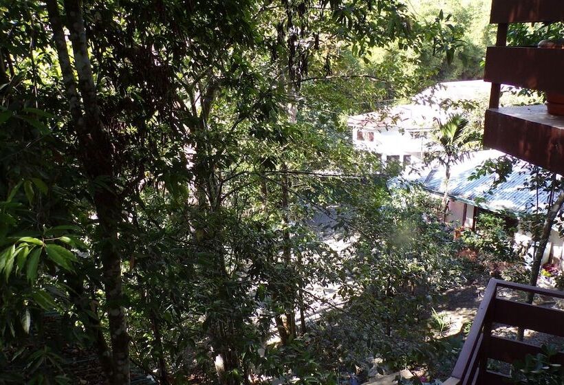 Mycasa's Bed And Breakfast