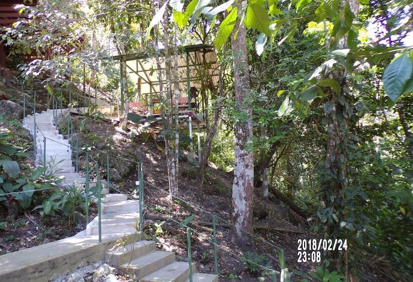 Mycasa's Bed And Breakfast