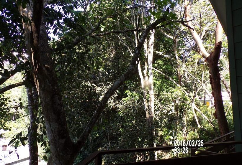 Mycasa's Bed And Breakfast