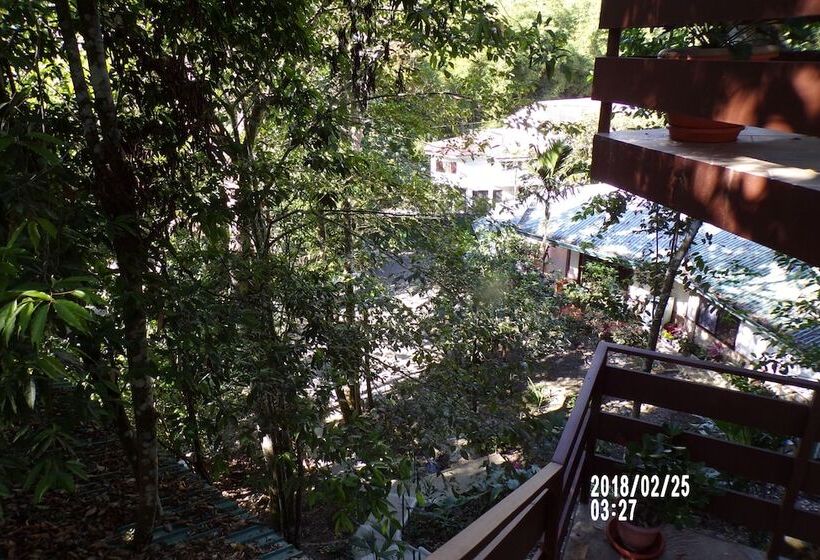 Mycasa's Bed And Breakfast