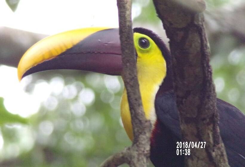 Mycasa's Bed And Breakfast