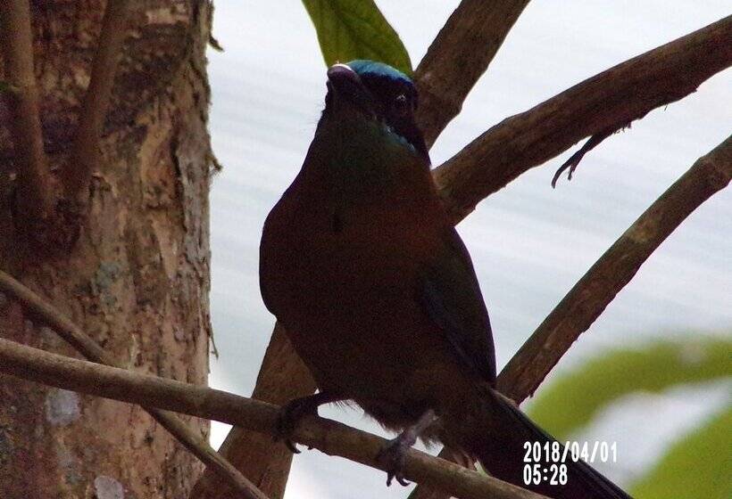 Mycasa's Bed And Breakfast