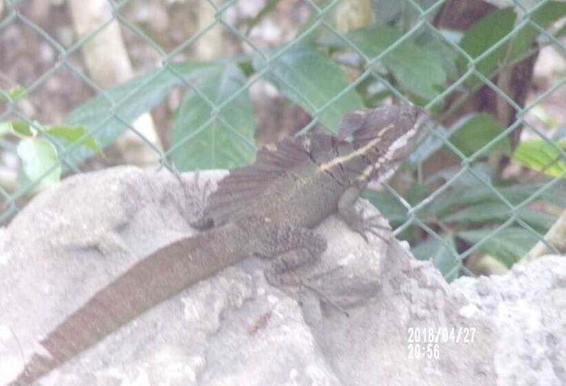 Mycasa's Bed And Breakfast