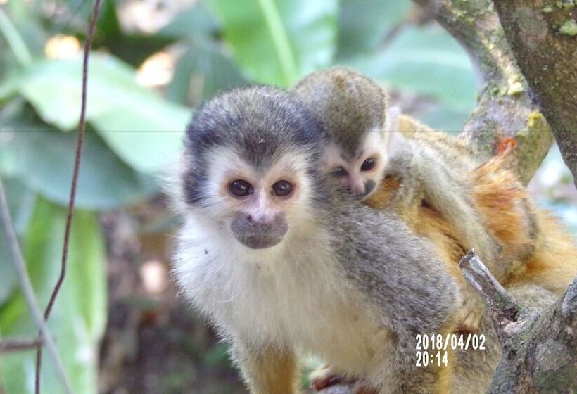 Mycasa's Bed And Breakfast