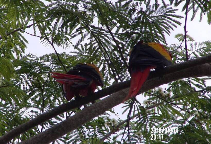 Mycasa's Bed And Breakfast