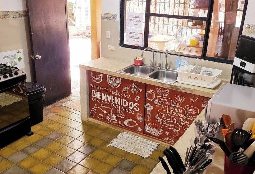 Casa Pura Vida Surf Hostel