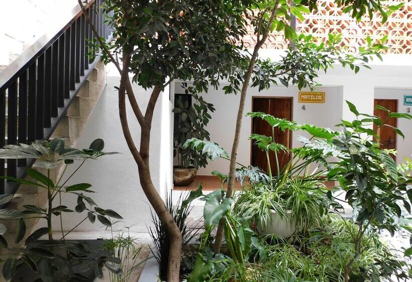 Santa Josefita Bed & Breakfast