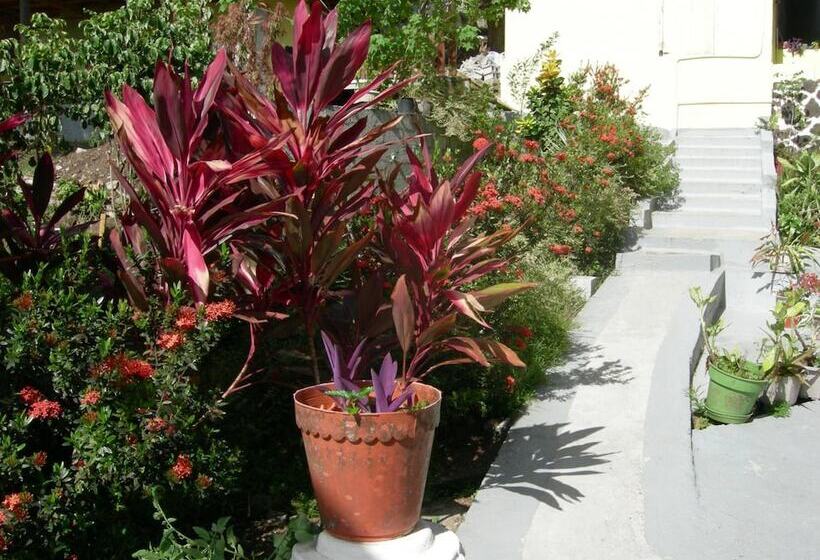 Пансион Casa Del Vega