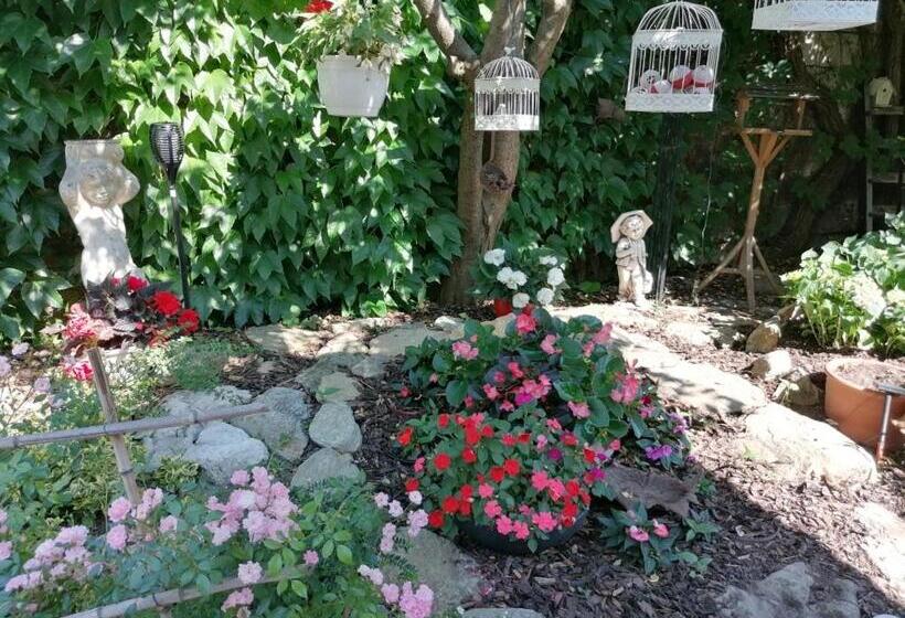 Отель Pension Amelie