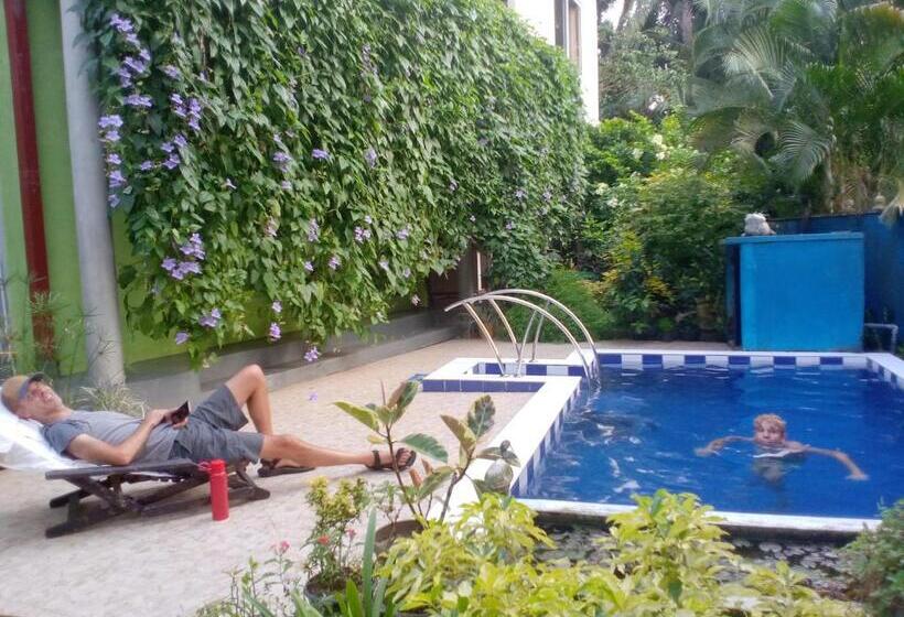 住宿加早餐  Abha Villa