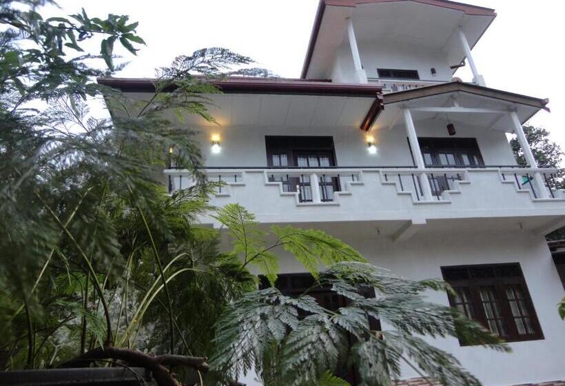 住宿加早餐  Abha Villa