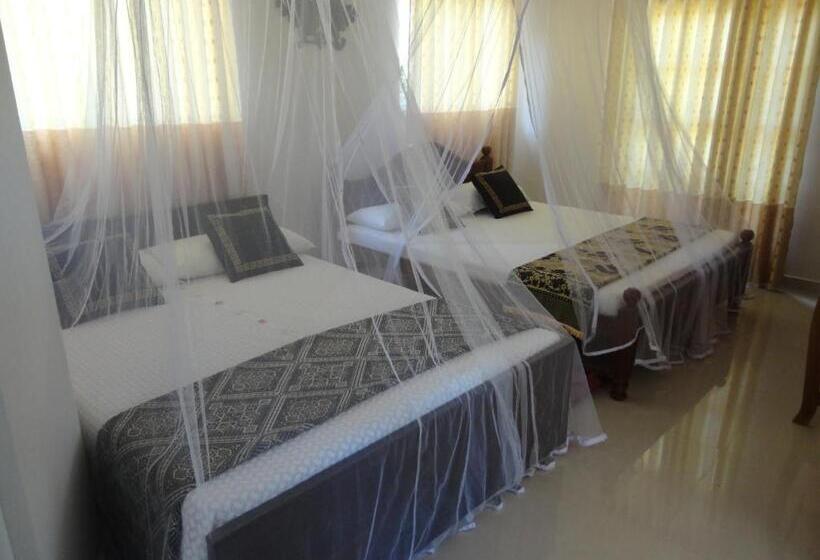 住宿加早餐  Abha Villa