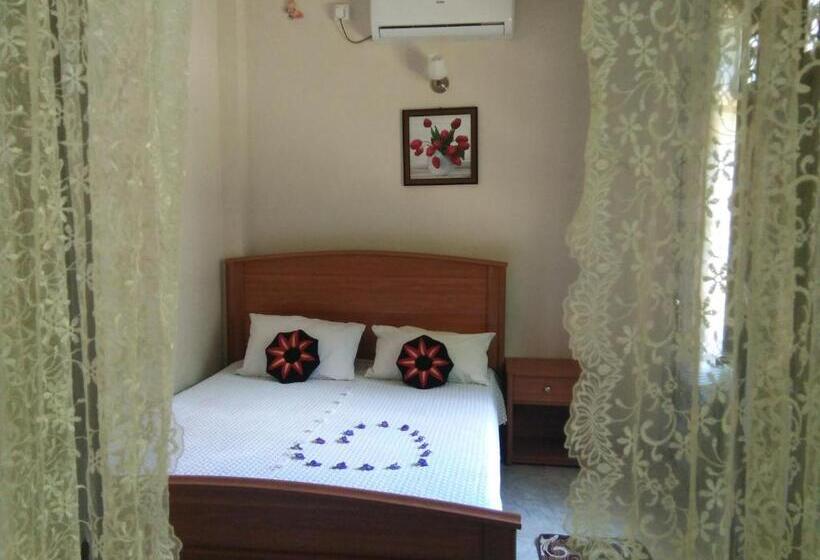 住宿加早餐  Abha Villa