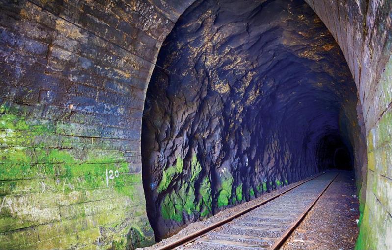 Bed and Breakfast B.rose House