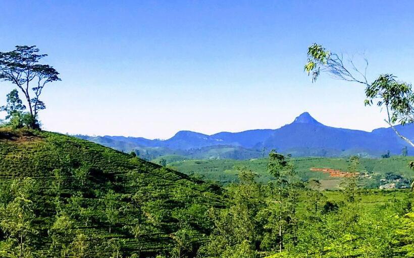 Bed and Breakfast B.rose House