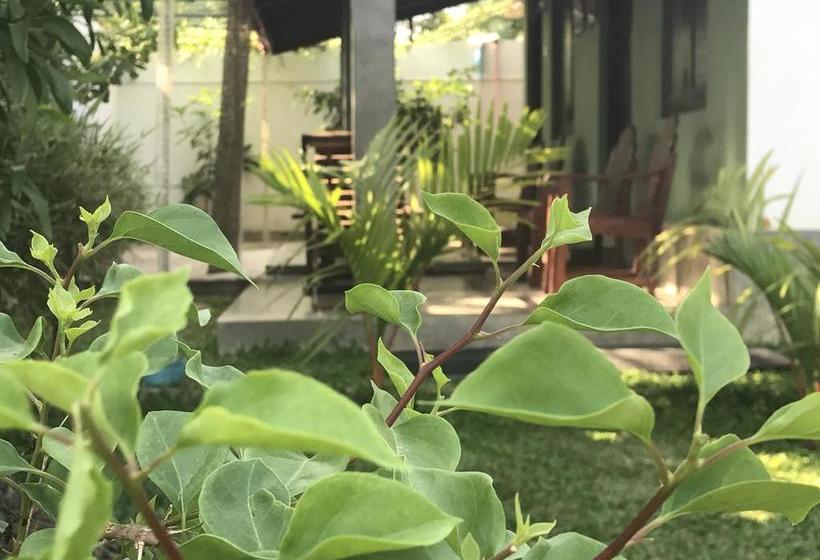 住宿加早餐 Golden Park