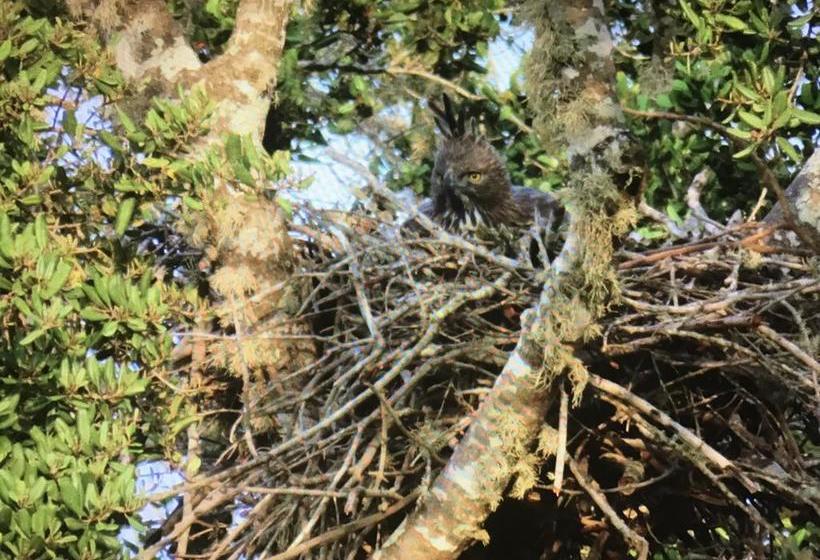 住宿加早餐 Golden Park