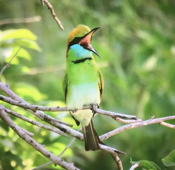 住宿加早餐 Golden Park