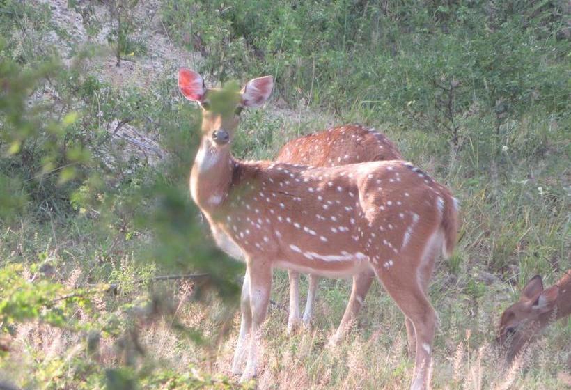 住宿加早餐 Golden Park