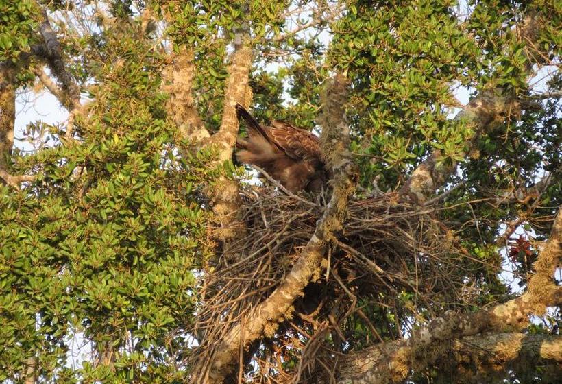 住宿加早餐 Golden Park